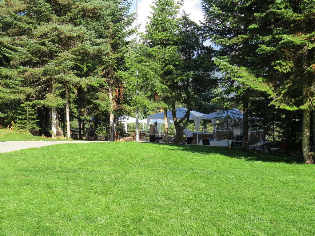 Jura Hotels Ilgaz Mountain Resort Ngoại thất bức ảnh