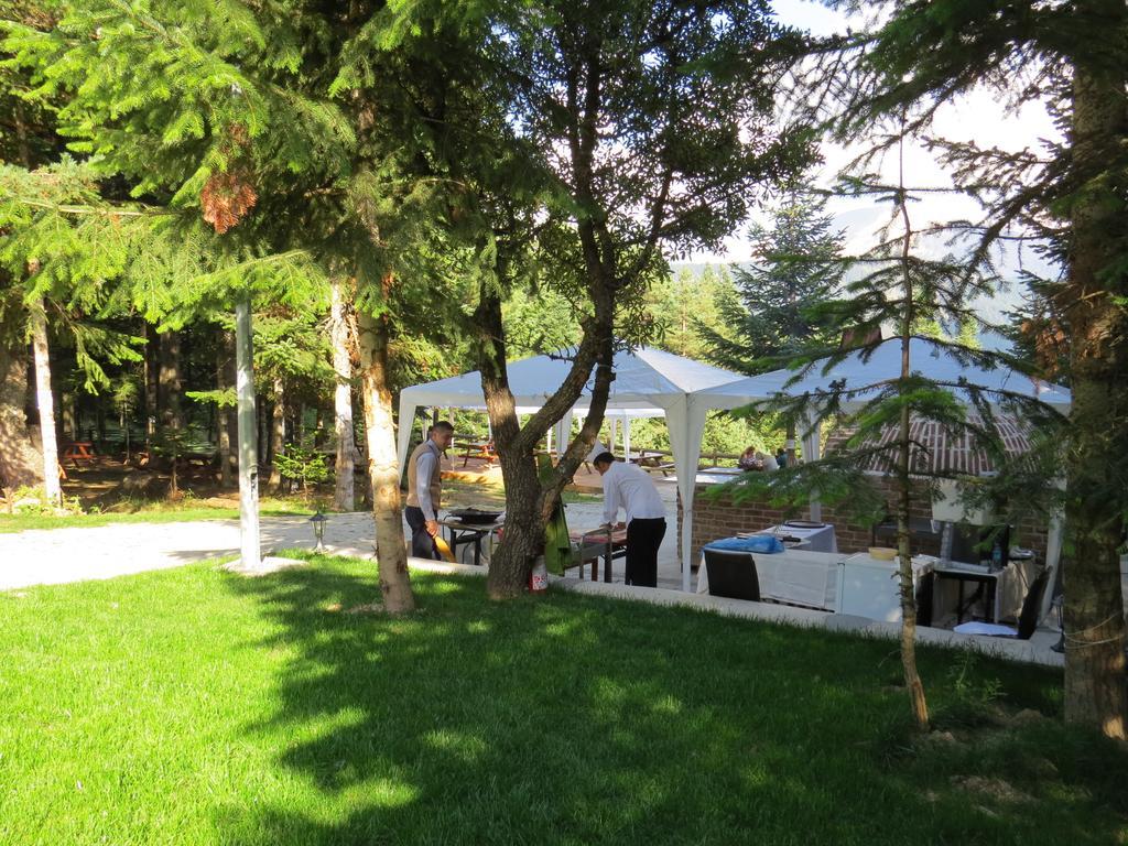 Jura Hotels Ilgaz Mountain Resort Ngoại thất bức ảnh