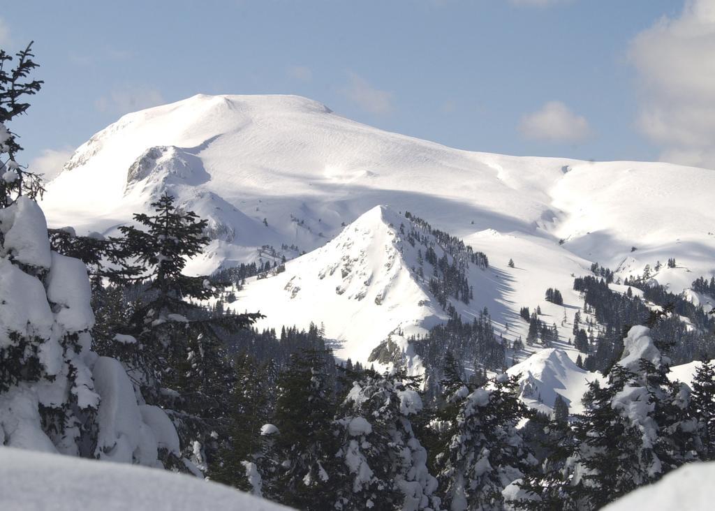 Jura Hotels Ilgaz Mountain Resort Ngoại thất bức ảnh
