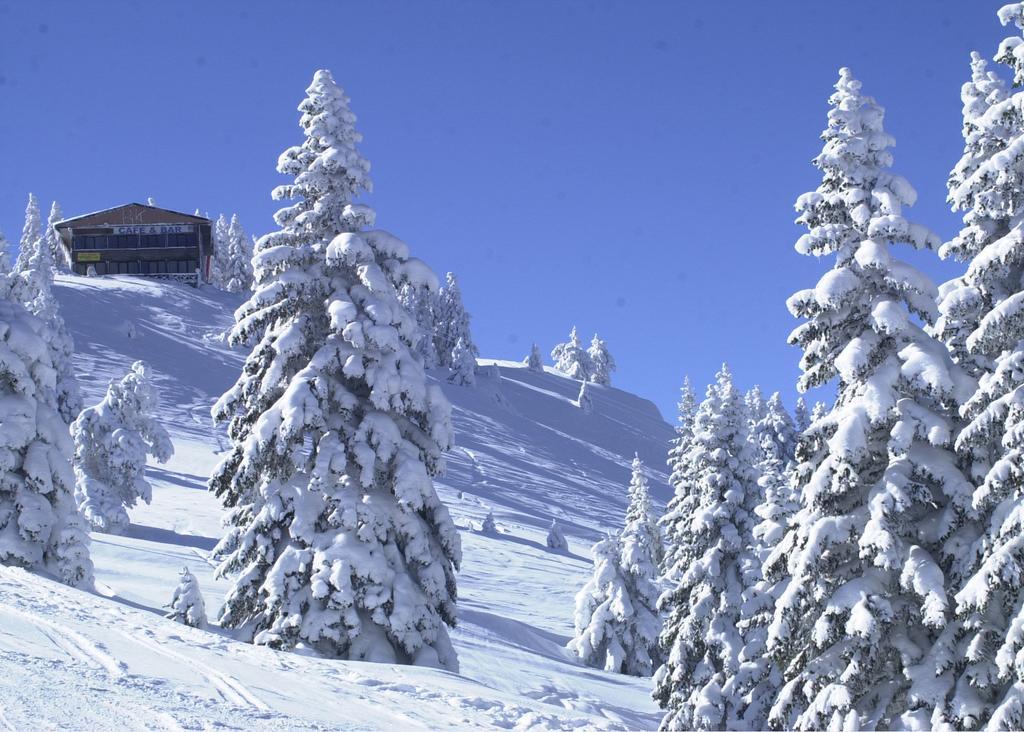 Jura Hotels Ilgaz Mountain Resort Ngoại thất bức ảnh