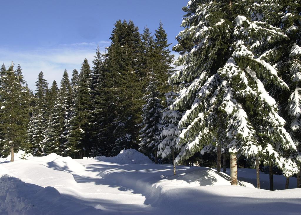 Jura Hotels Ilgaz Mountain Resort Ngoại thất bức ảnh
