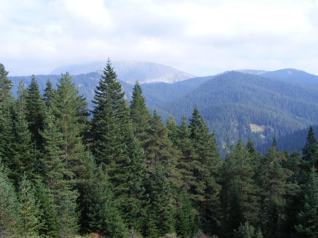 Jura Hotels Ilgaz Mountain Resort Ngoại thất bức ảnh