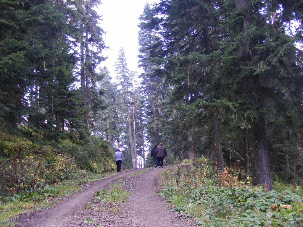 Jura Hotels Ilgaz Mountain Resort Ngoại thất bức ảnh